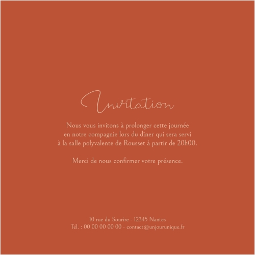 Dessin oriental terracotta foncé miniature 2