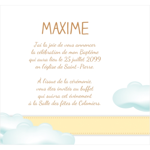 Faire Part Baptême Île et animaux