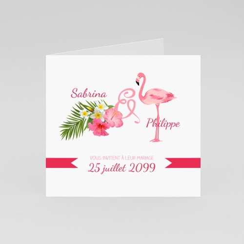 Annonce Flamant rose