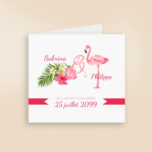 Annonce Flamant rose