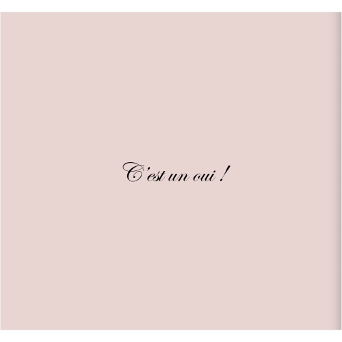 Illustration couple rose miniature 3