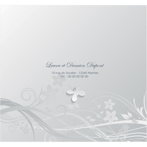 papillons gris miniature 5