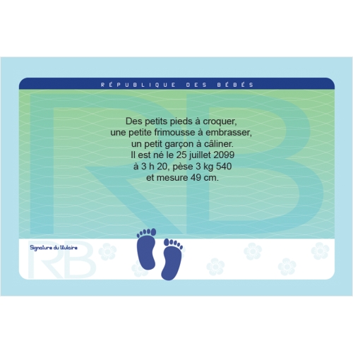 carte d'identité miniature 3