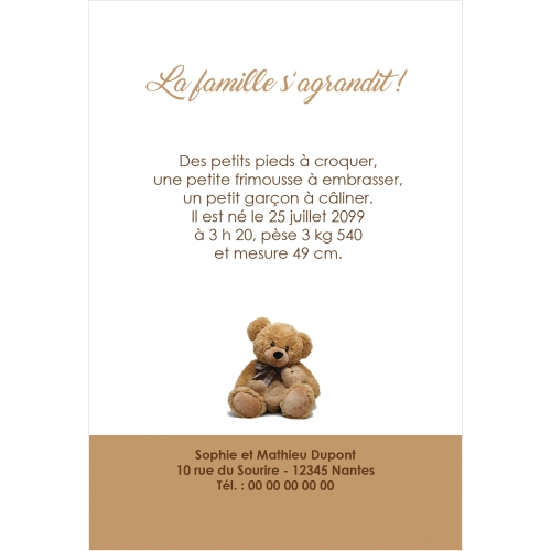 Invitation Nounours peluche