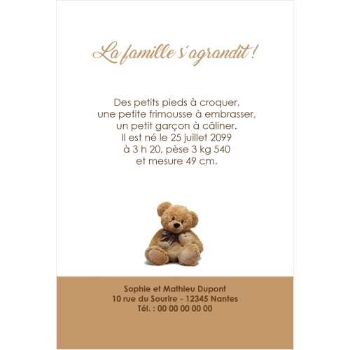 Nounours peluche miniature 3