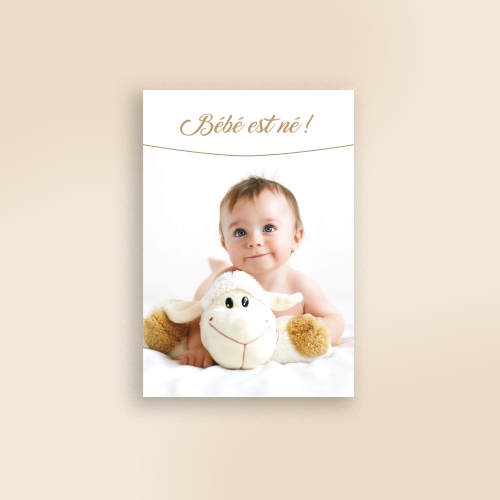 Invitation Nounours peluche