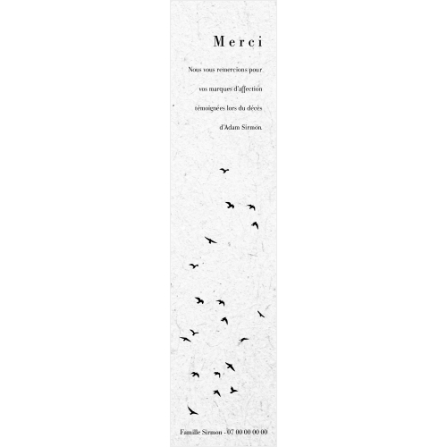 Envol miniature 2