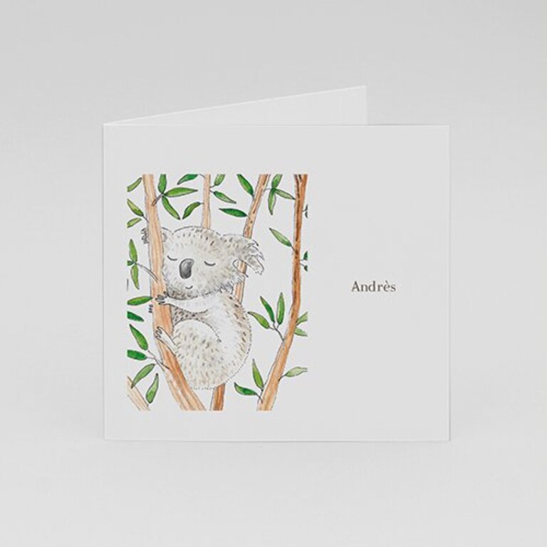 Faire-part de naissance Koala aquarelle