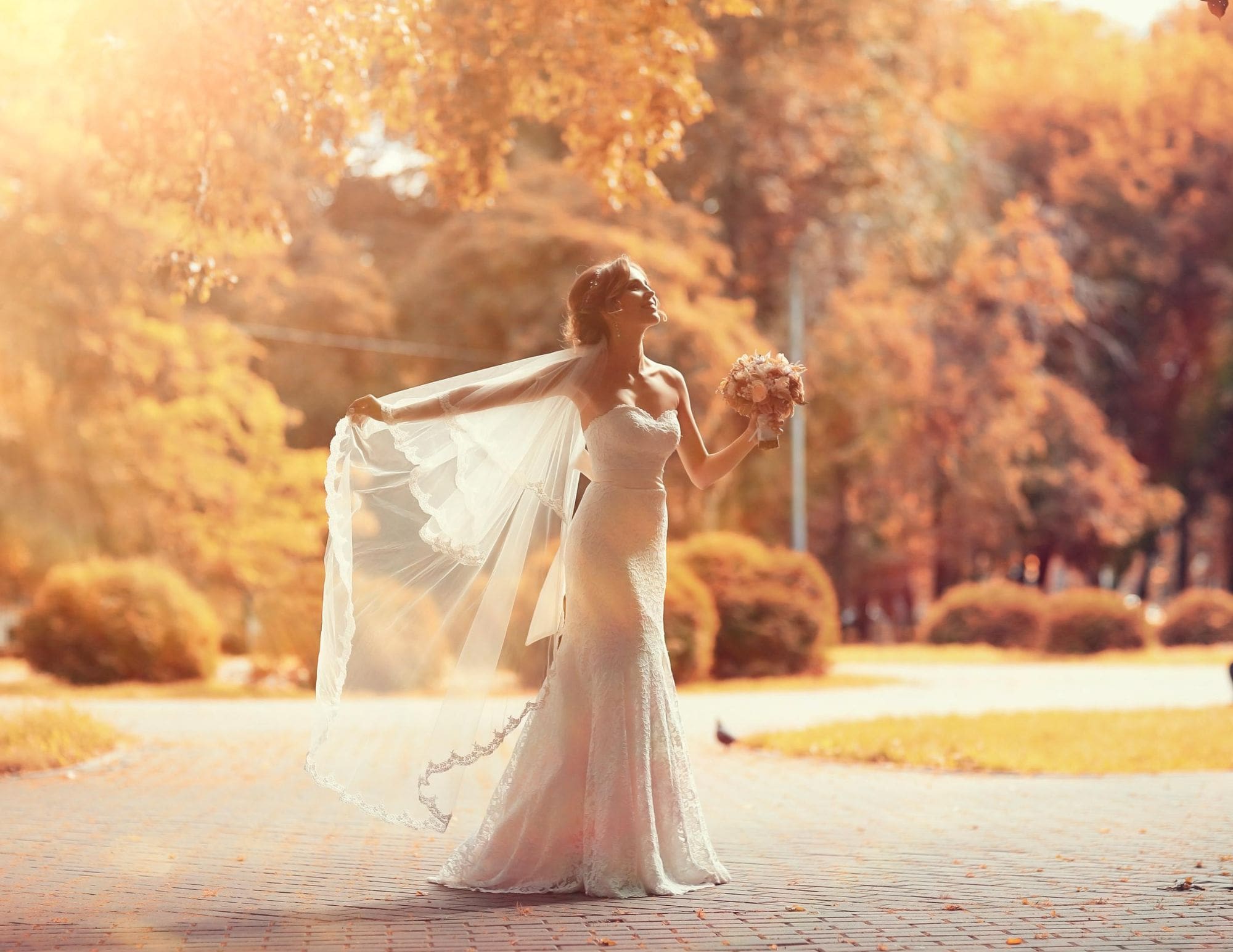 Robe de mariée Mariage Occidental