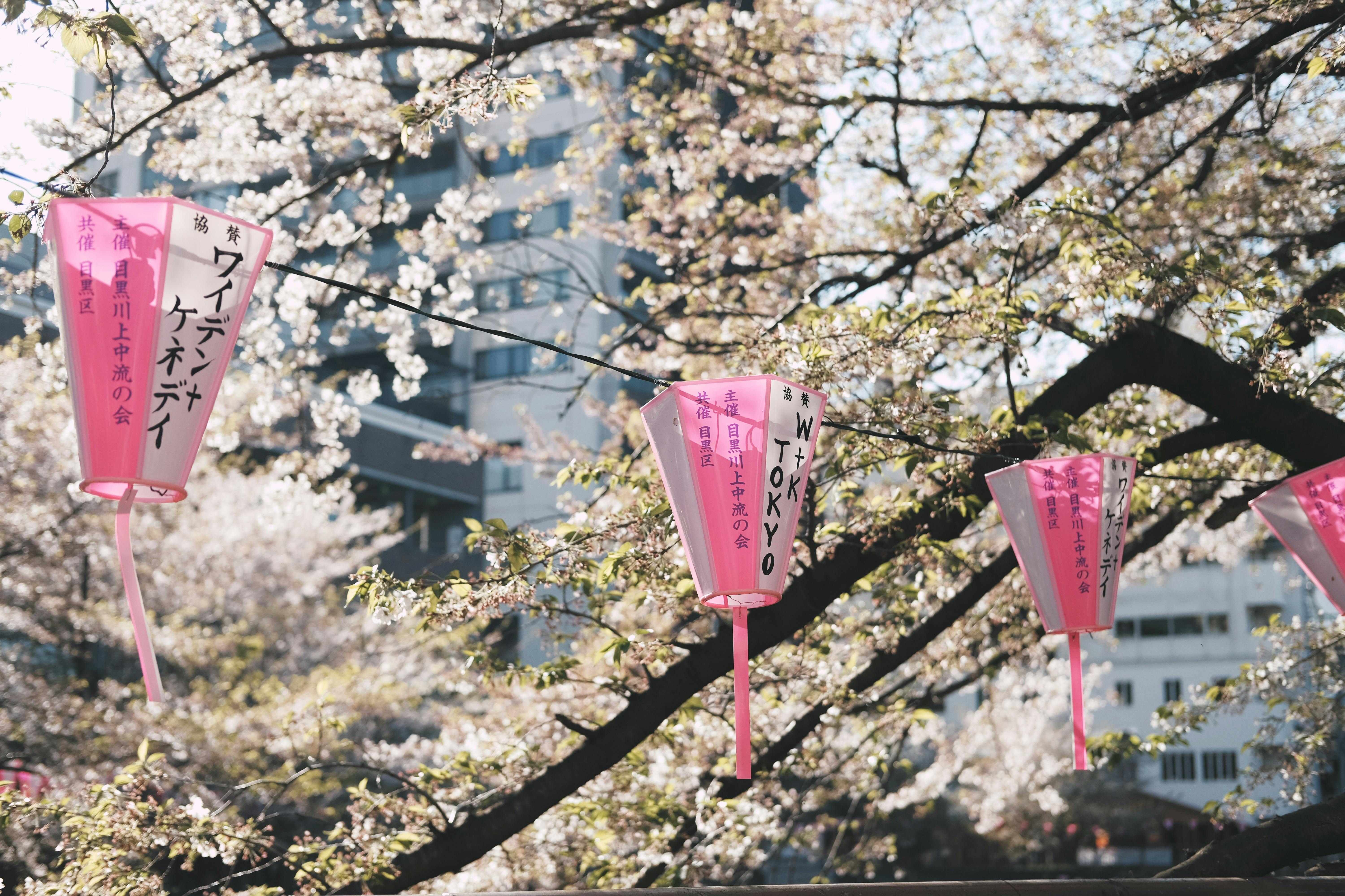 Lune de miel à Tokyo